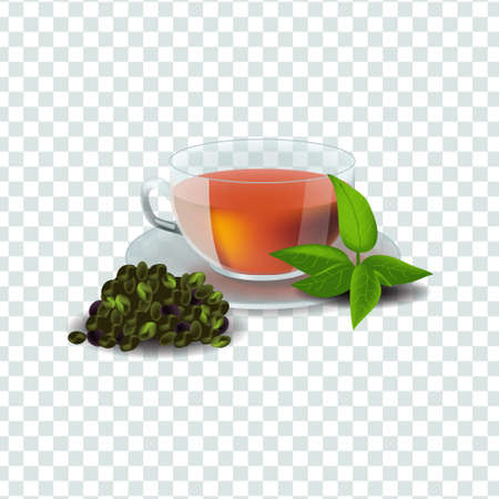Vector illustration in realism style about green or herbal teaのイラスト素材