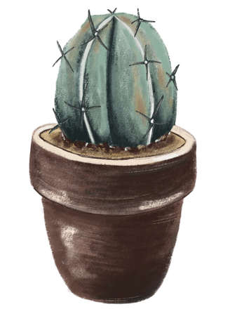 Decorative green cactus with thorns in a ceramic brown potの写真素材