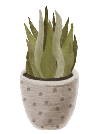 interior design plants, pottery plants, illustration isolated on white backgroundの写真素材