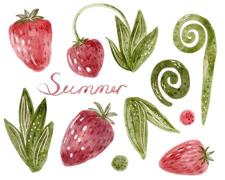 A set of strawberries and leaves hand drawn illustrationの写真素材