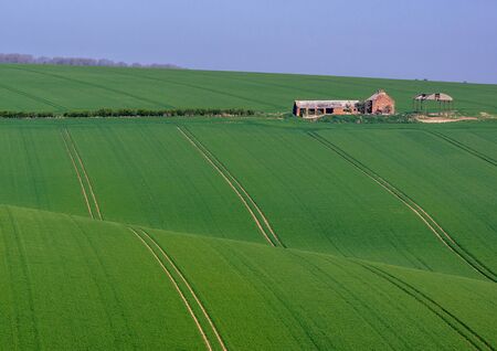 View of a deralict farm over rolling green striped fields  on a sunny day.の写真素材