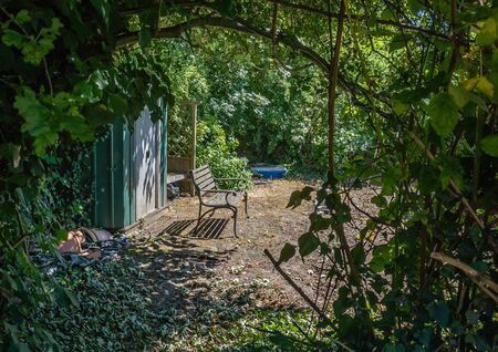 An empty garden bech seen through trees framing the subject.