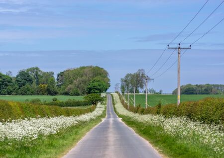 A hedge lined country road with telegraph poles leading in to the heat hazed distance.の写真素材
