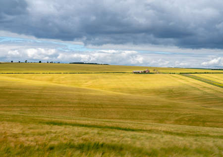 Colourful landscape view over rolling hills and wheat fields on a sunny day with dark clouds.の写真素材