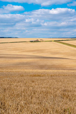 Colourful landscape view over rolling hills and wheat fields on a sunny day with white clouds.の写真素材