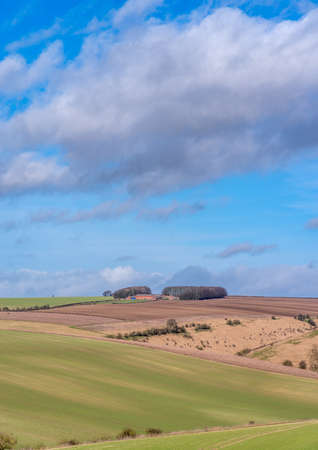 Newly sown green fields with tractor tracks across rolling hills and blue sky in the Yorshire Wolds.の写真素材