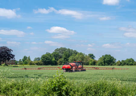 Pocklington, East Yorkshire, UK, 15 June 2021 - Red Tractor spraying a crop in a green field with blue skys.のeditorial素材