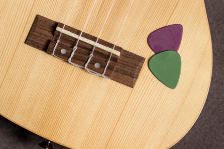 ukulele and picks on a gray background. with space for the text. close-up. life style