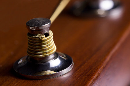 acoustic six-string guitar pegs with neatly wound golden strings. taken in close-up in dark colors...