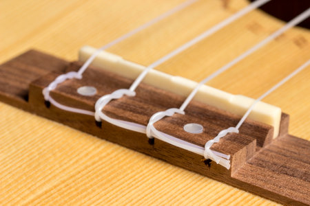 ukulele, on a black background. close-up. Saddle