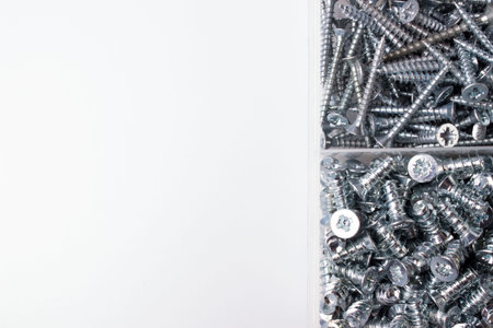 The screws are in the organizer on a white background with space for text or objects. taken in...
