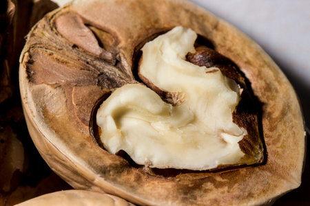 walnut shells. vegetarian food. vitamins