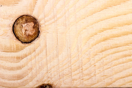 knot and crack, cavitie in light wood or solid wood of fir or pine. taken in close-up in light...