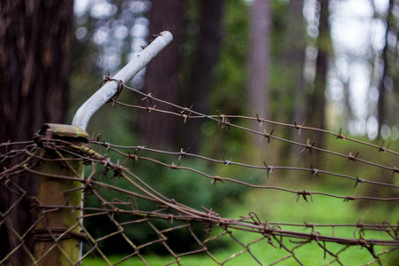 rusty barbed wire on a blurred green background with highlights. close-up.