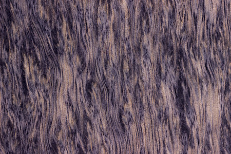 texture of old wood. aged board. the texture of a rustic table. gray, violet . artificial wooden...