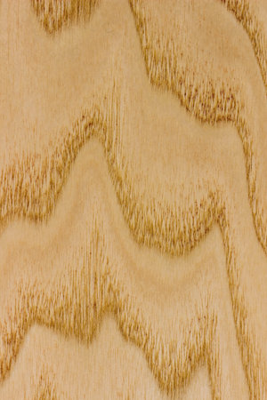 background is made of old wood. an old light board. the texture of a rustic table. ash tree, a place...