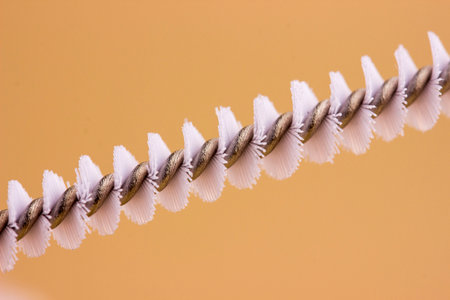 brushes for cleaning on a light background close-up