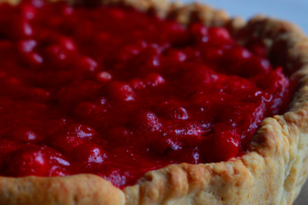 round cake with berries. cranberries. taken in very close-up