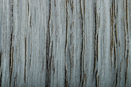 texture. taken in close-up, with space for text or subject