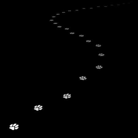 Trace of dog leading far away. Editable Vector EPS8.の写真素材