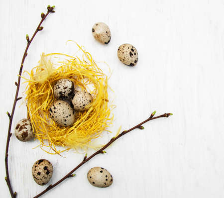Quail eggs in nest on a old white wooden backgroundの写真素材