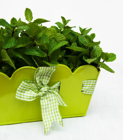 Mint in a metal pot on a old wooden backgroundの写真素材