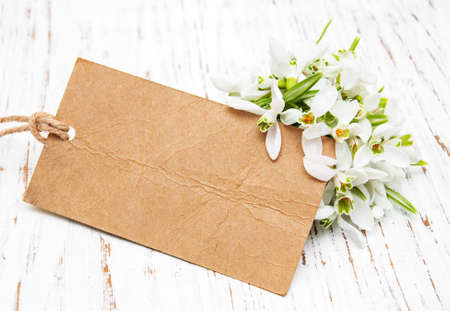Snowdrops flowers with vintage card on a wooden backgroundの写真素材