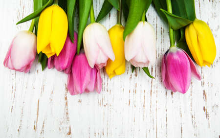 border of pink and yellow tulips  on a wooden backgroundの写真素材