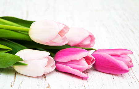 bouquet of pink tulips  on a wooden backgroundの写真素材