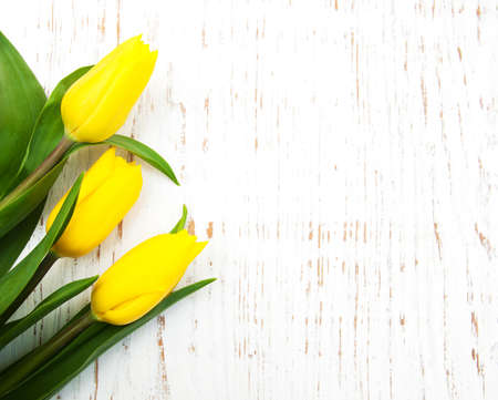 Yellow  tulip flowers on a old wooden backgroundの写真素材