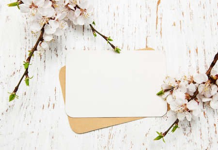 spring apricot blossom with card on a wooden backgroundの写真素材