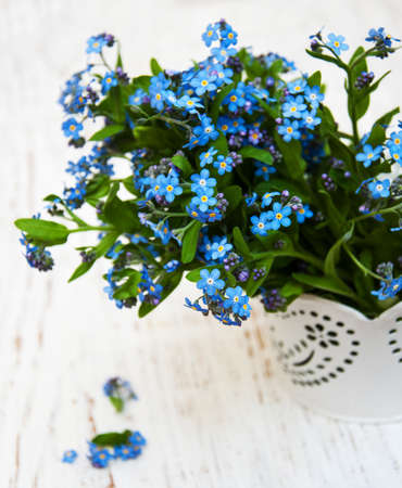Forget me nots flowers  on a wooden backgroundの写真素材