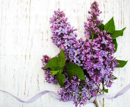Lilac flowers on a old wooden backgroundの写真素材