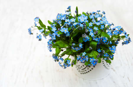 Forget me nots flowers  on a wooden backgroundの写真素材