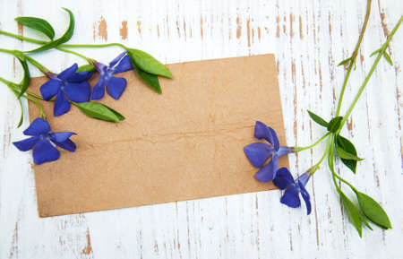periwinkle flowers with card on a wooden backgroundの写真素材