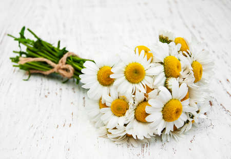 chamomile flowers on a old wooden backgroundの写真素材