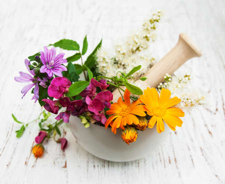 wild flower and herb leaf in mortar on a wooden backgroundの写真素材