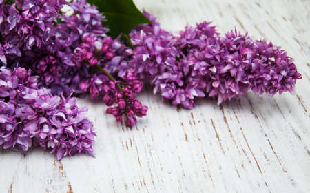 Lilac flowers on a old wooden backgroundの写真素材