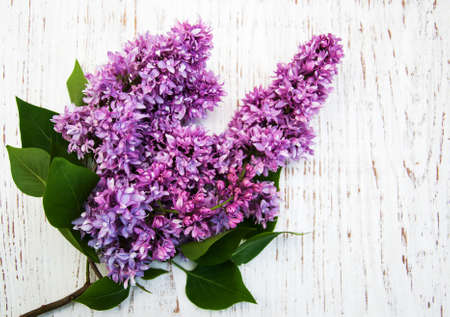Lilac flowers on a old wooden background