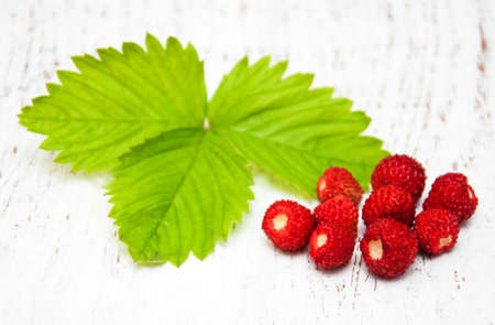 Wild strawberries on a old white wooden backgroundの写真素材