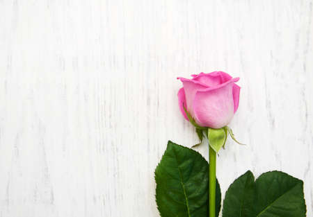 Pink Rose on a old wooden tableの写真素材