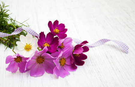Cosmos flowers  on a old wooden  backgroundの写真素材