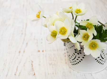 Metal pot  with Anemone flowers on a wooden backgroundの写真素材