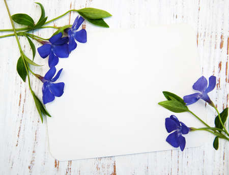 Blue Perwinkle flowers and card on a wooden backgroundの写真素材