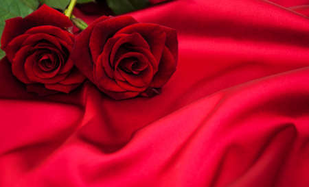 Red roses on a red satin backgroundの写真素材
