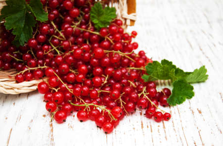 fresh red currant on a old wooden tableの写真素材