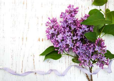 Lilac flowers on a old wooden backgroundの写真素材