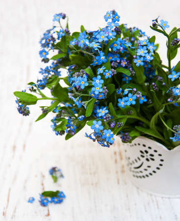 Forget me nots flowers on a wooden backgroundの写真素材