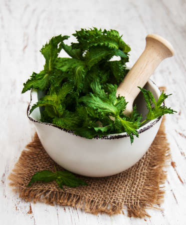 Mortar with green mint on a old white wooden background