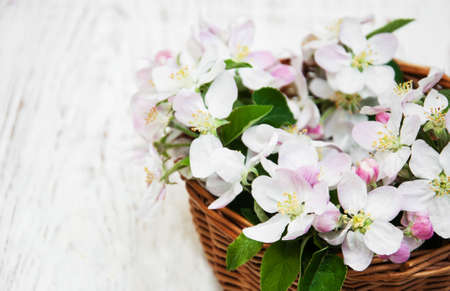 Basket with Apple blossoms on a old white wooden backgroundの写真素材
